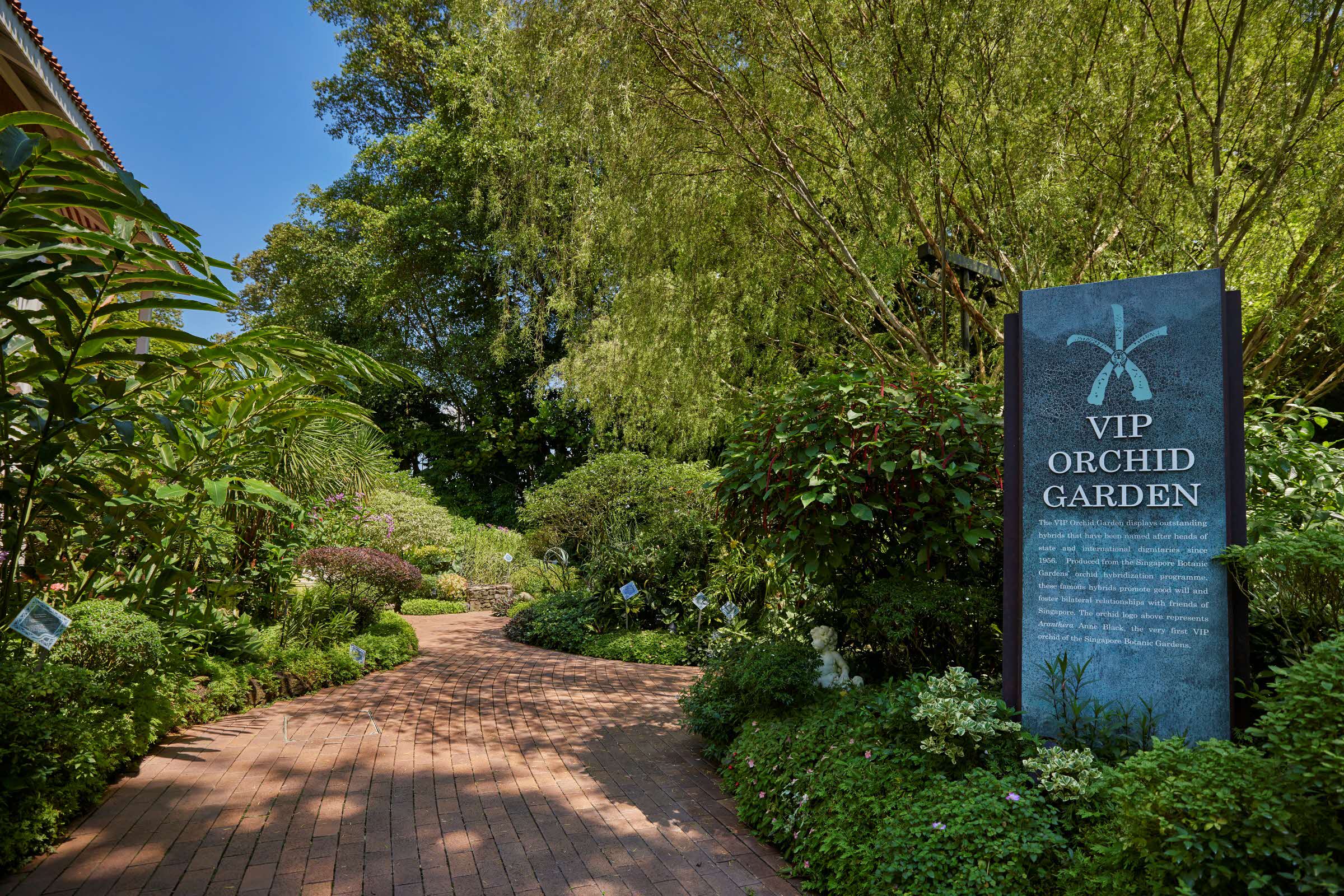 VIP Orchid Garden
